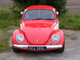 Beetle 008.jpg